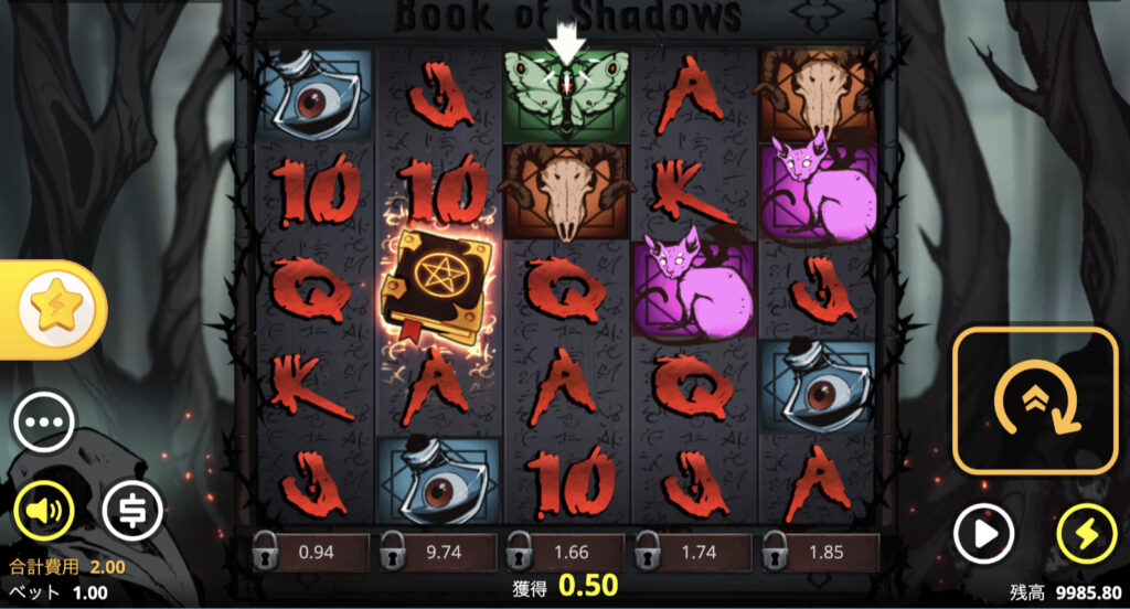 Book of Shadows(ブックオブシャドウズ)